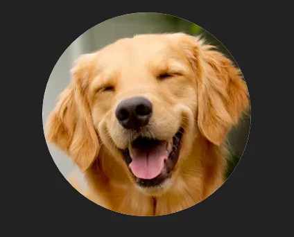 Download ig image ever free online
