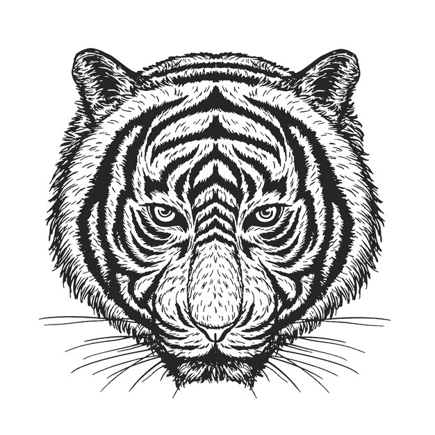 Download image vector software download