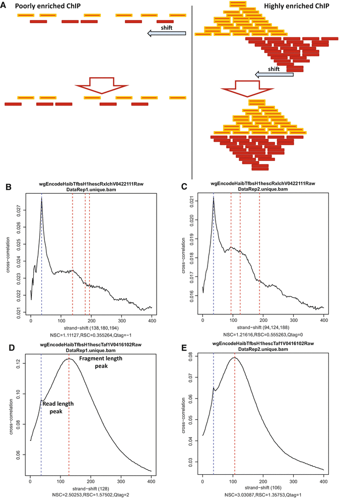 Download qr code scanner app zip download