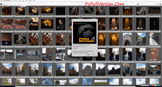 Download rxtx zombie 2