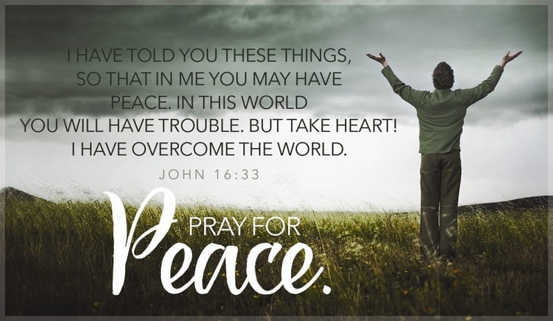 Download vj loops jewelry