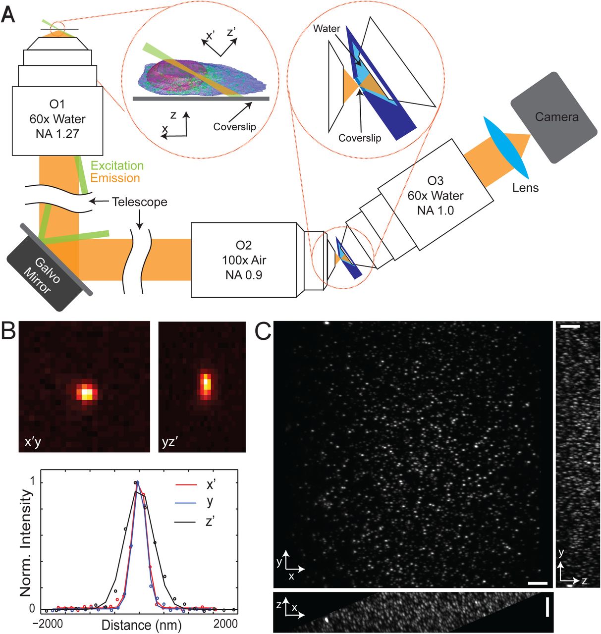 Download word document 40 free online