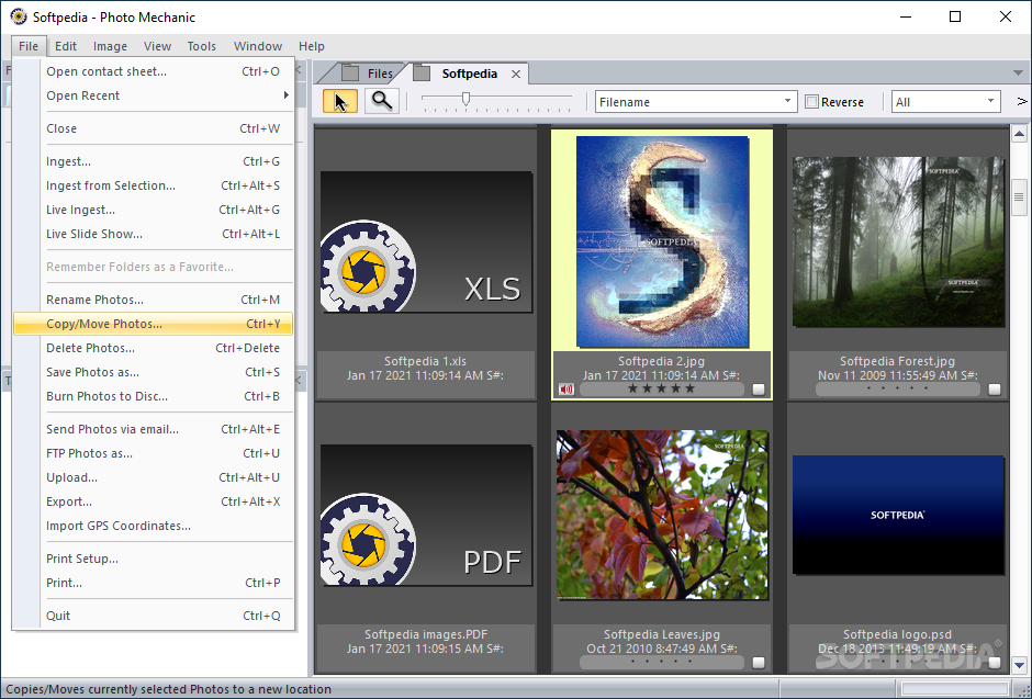 N01 download free quotes full