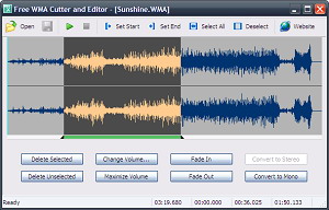 Flash direct download link